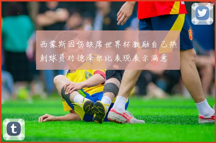 西蒙斯因伤缺席世界杯激励自己热刺球员对德泽尔比表现表示满意